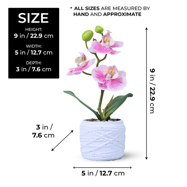 Small White Potted Orchid Plant, Pink Spots, Handmade Rustic Decor, Housewarming Gift 9in, 23cm by Accent Collection