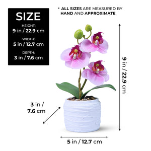 Pink Orchid Handmade Artificial Plants Indoor in White Pot, Birthday Gift, Table Decor 9in, 23cm by Accent Collection