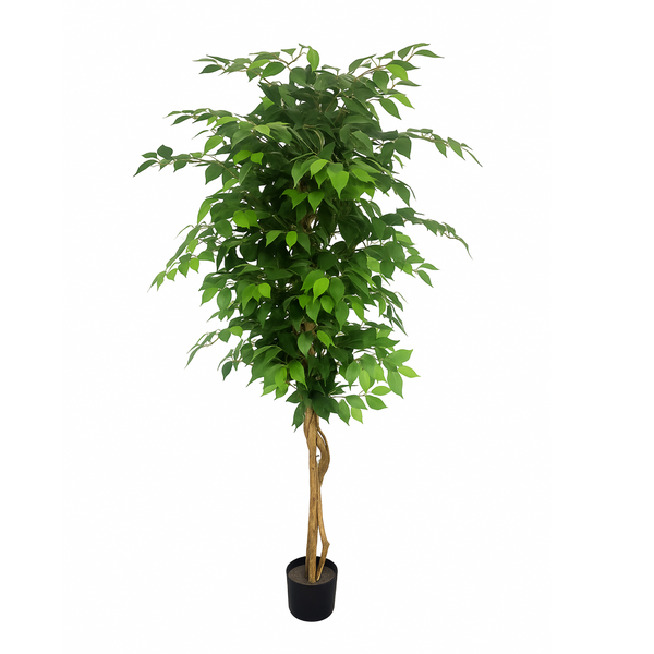 Artificial Ficus Tree, Lifelike Leaves Trunk 6 ft Tall Fake Ficus Leaves Plant with Black Cement Base for Indoor Decor-Sona Casa