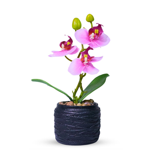 Small Pink Faux Orchid Fake Plants Indoor with Black Cement Pot, Handmade Center Table Decor 9in, 23cm by Accent Collection