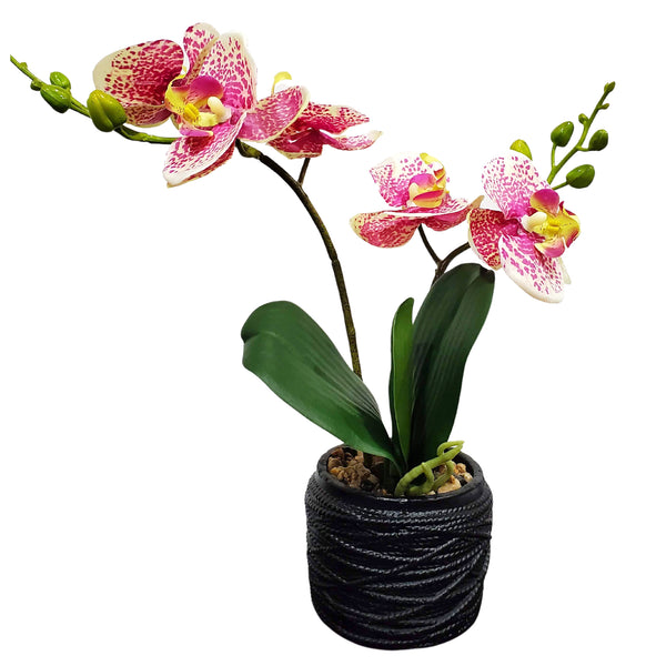 Lifelike Pink Orchid In White Planter - Resin & Fiberglass Potted Fake Plant For Desk, Shelf, And Home Decor by Accent Collection