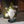 Garden Gnome with Lantern Lamp, Solar Light