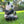 Large Outdoor Statue, 40 cm Panda, Cute Garden Decoration, Large Outdoor Decor, Outdoor and Indoor Decor for Garden, Patio, Balcony, Perfect Gift for Garden Enthusiasts